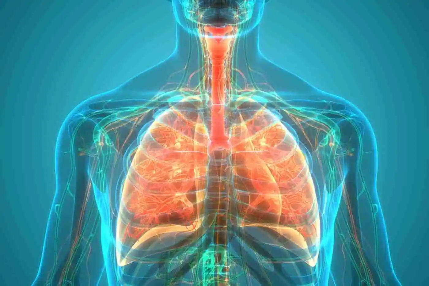 Respiratory diseases